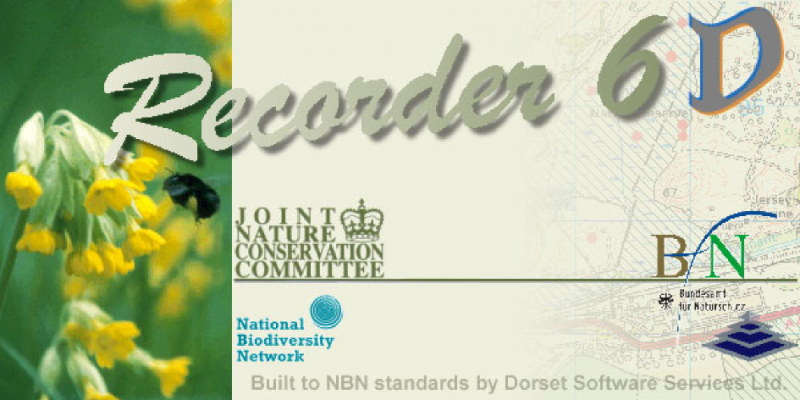 Datei:20110809 01 0001.png